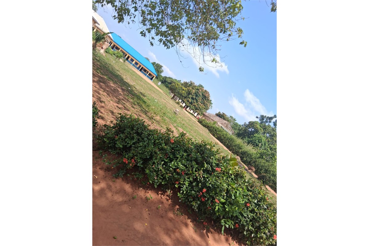 Community Secondary School, Ukwulu
